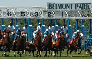 Top 10 Largest Horse Racing Venues by Capacity